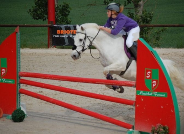  CSO en el centro ecuestre 